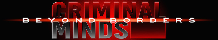 Criminal Minds: Beyond Borders (source: TheTVDB.com)