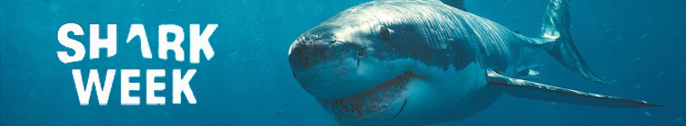 Shark Week (source: TheTVDB.com)