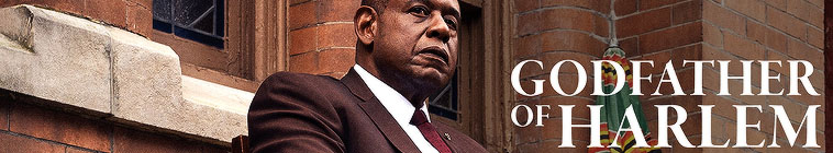Godfather of Harlem (source: TheTVDB.com)
