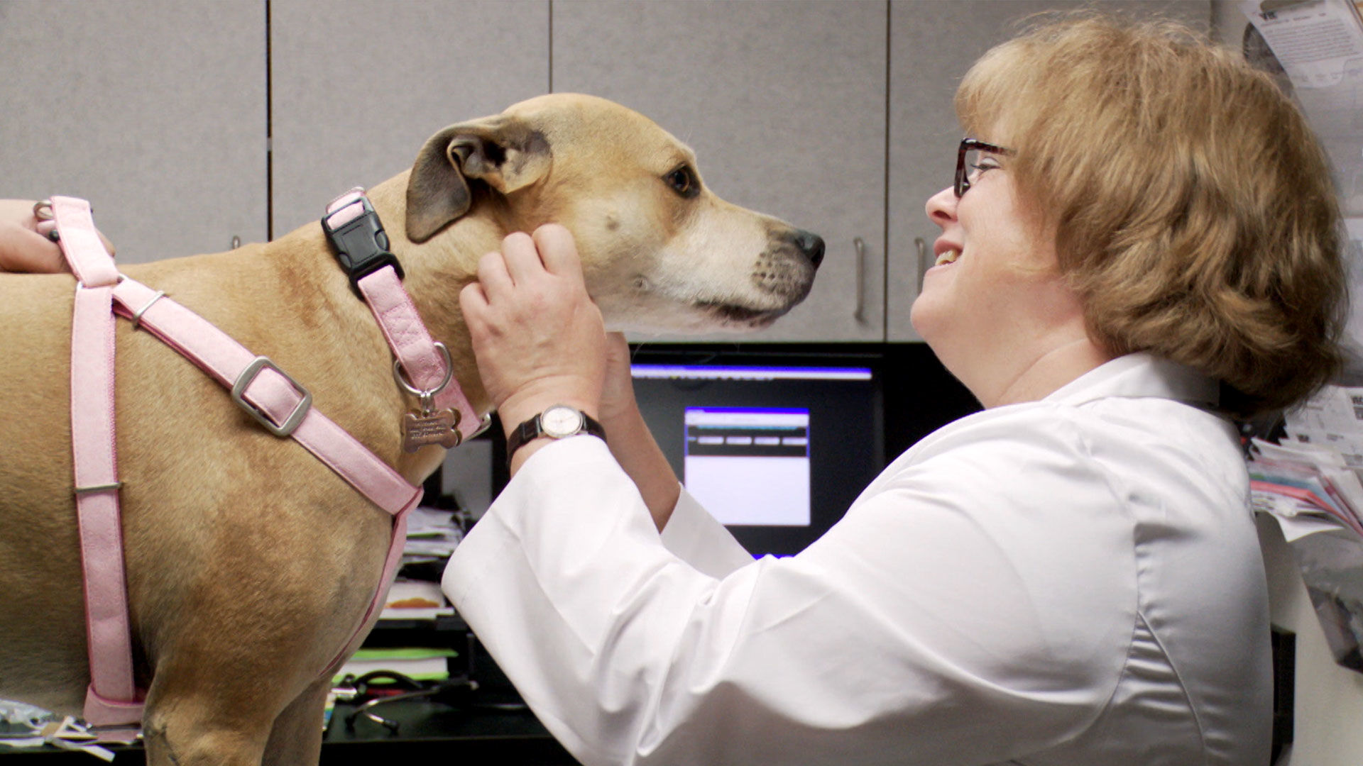 Vets Saving Pets - S2E26