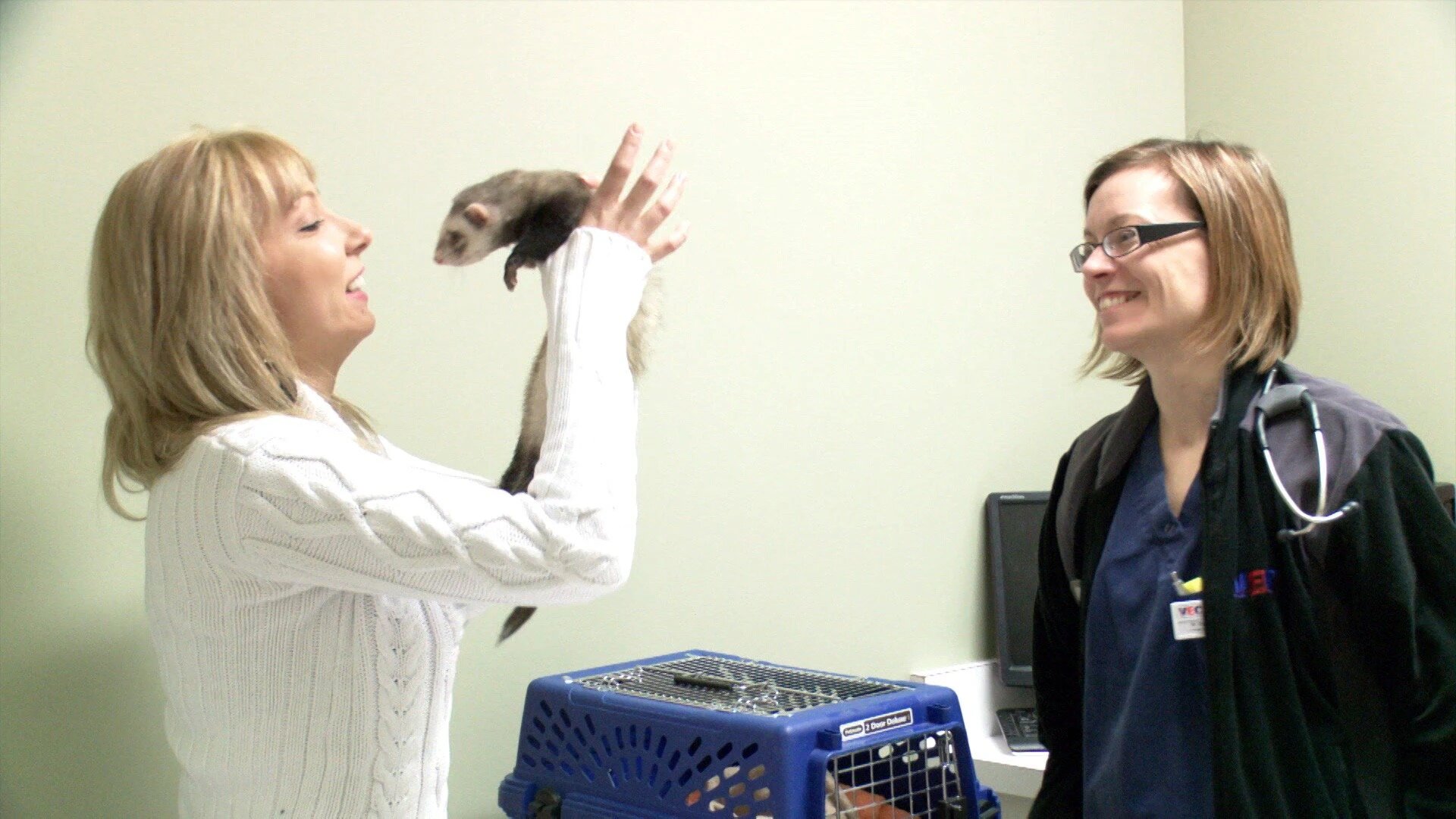 Vets Saving Pets - S2E26