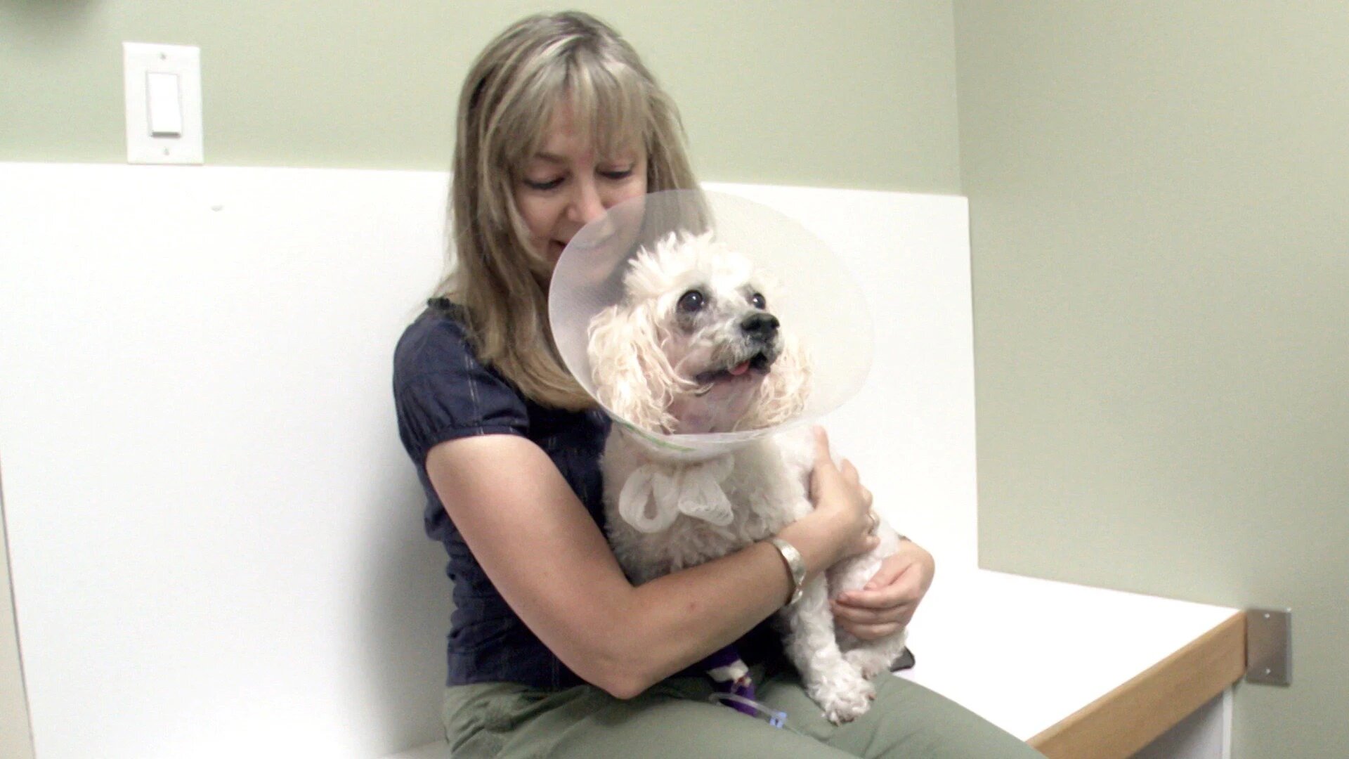 Vets Saving Pets - S2E26