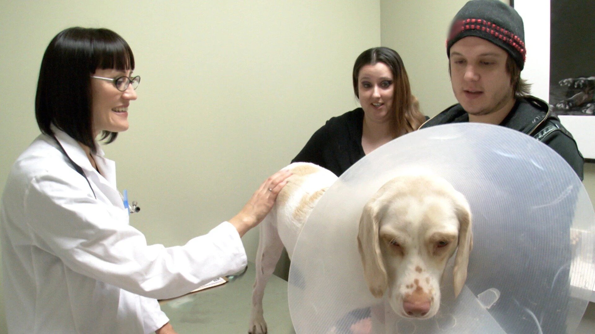 Vets Saving Pets - S2E26