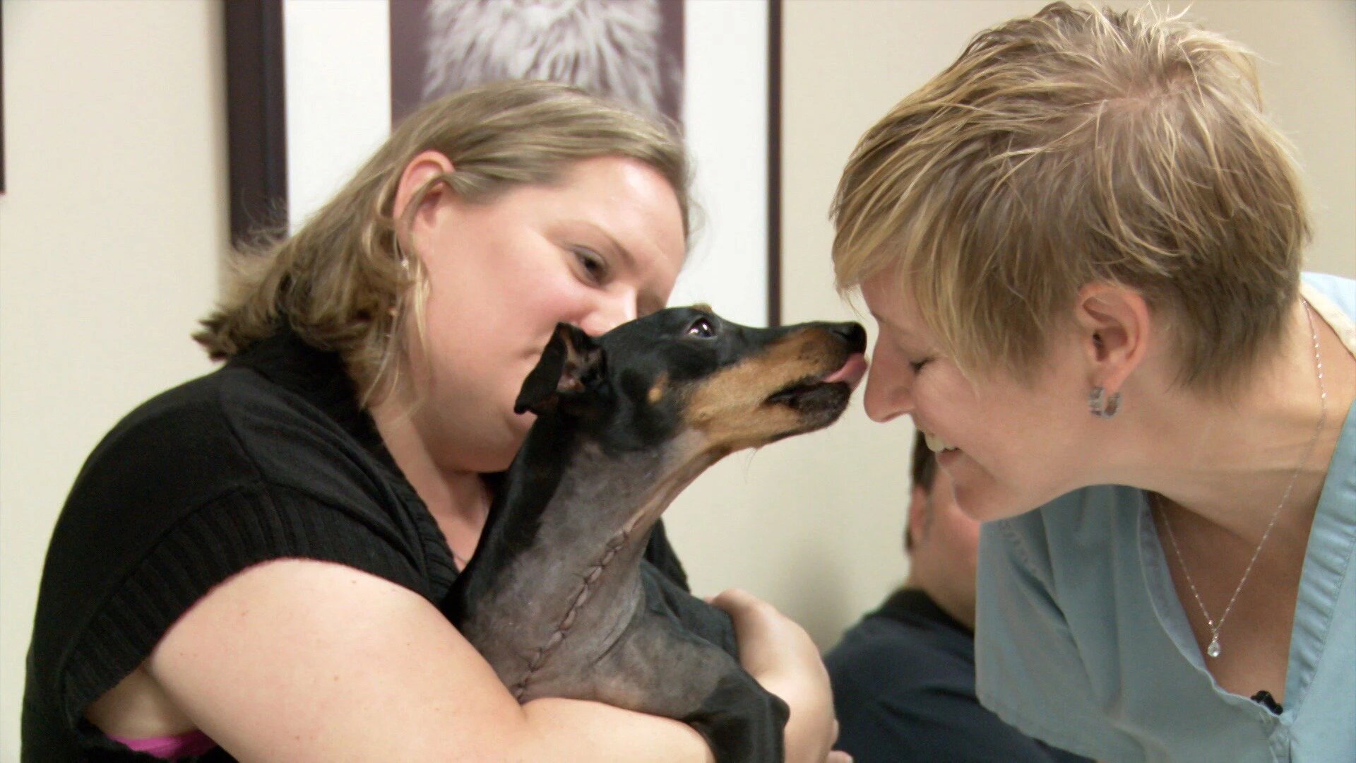 Vets Saving Pets - S2E26