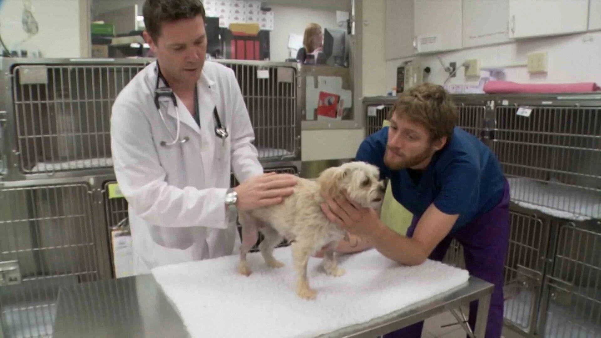 Vets Saving Pets - S2E26