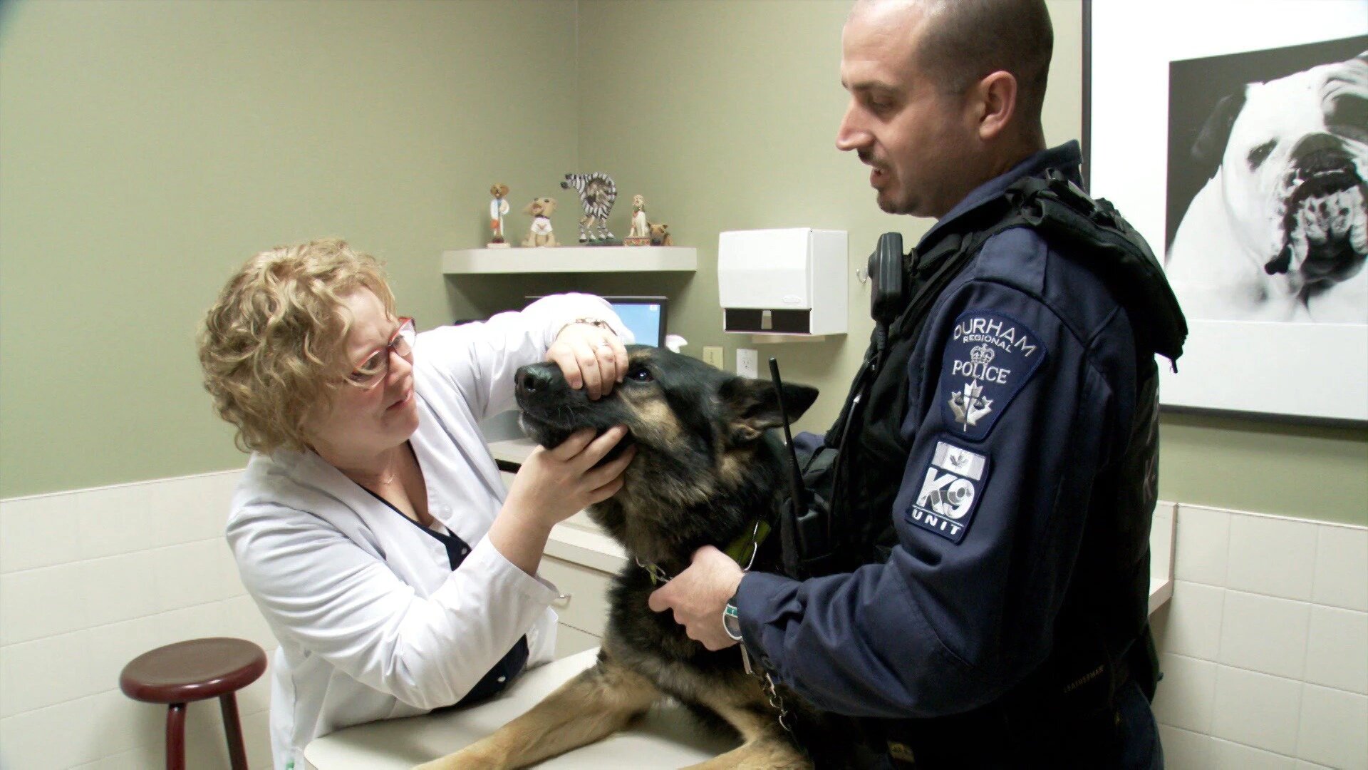 Vets Saving Pets - S2E26