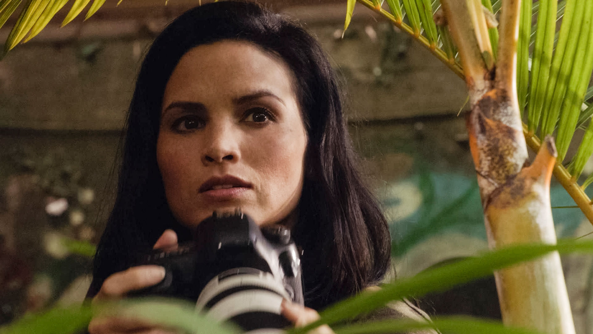 Hawaii Five-0 - S10E22