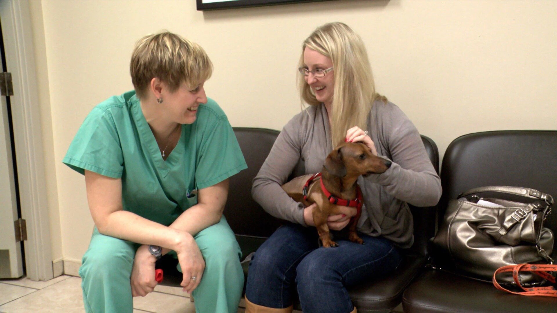 Vets Saving Pets - S2E26