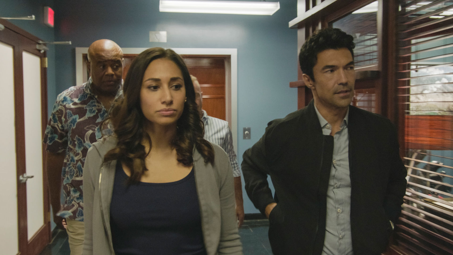 Hawaii Five-0 - S10E22