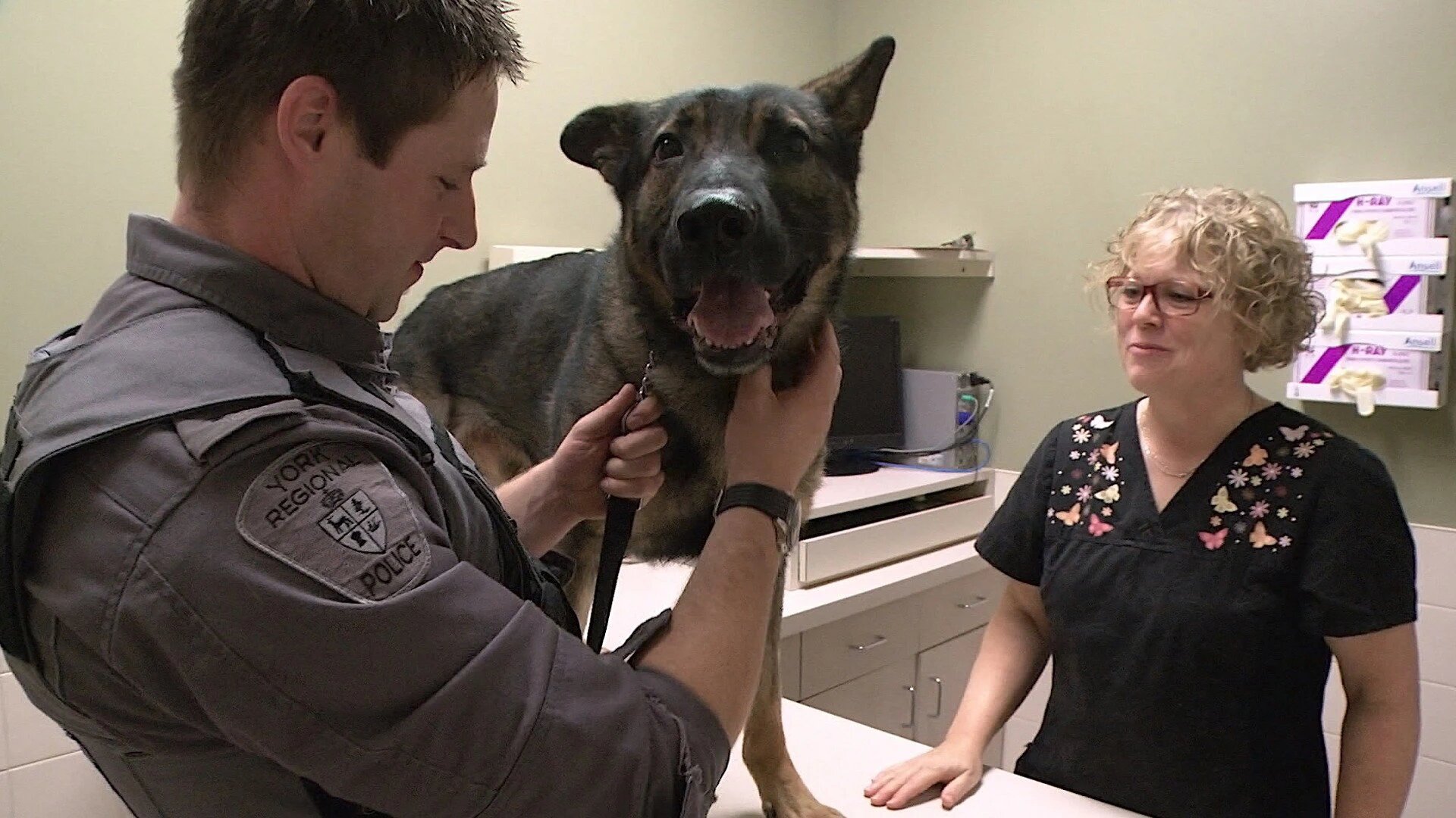 Vets Saving Pets - S2E26