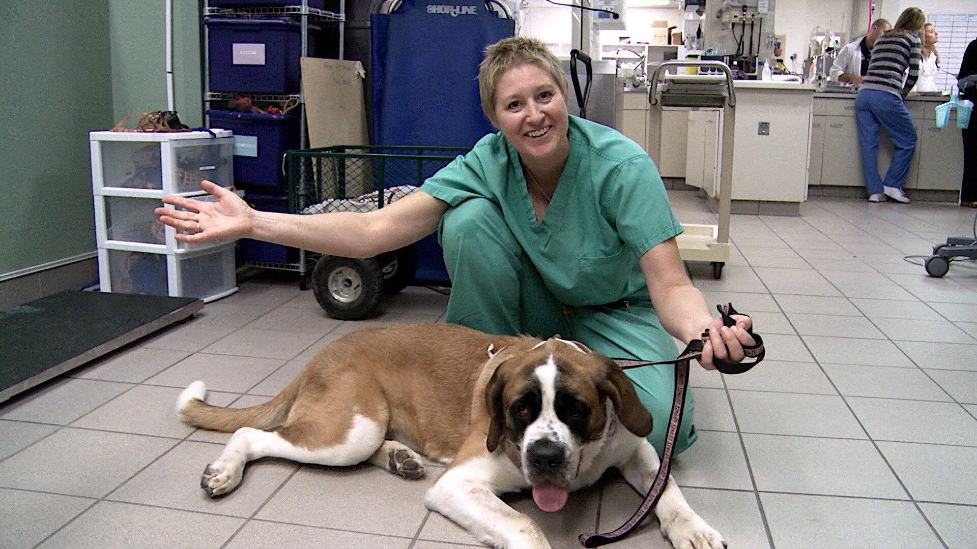 Vets Saving Pets - S2E26