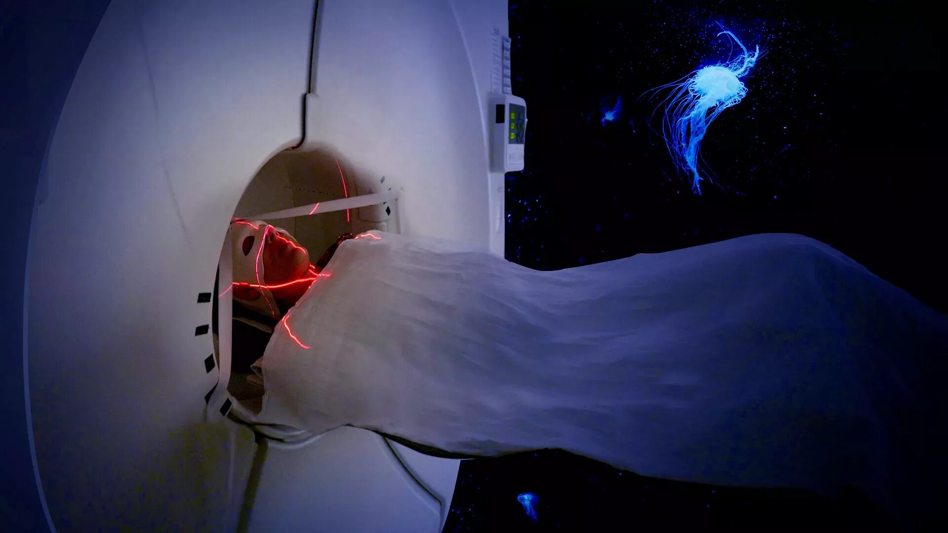 Independent Lens - S26E21