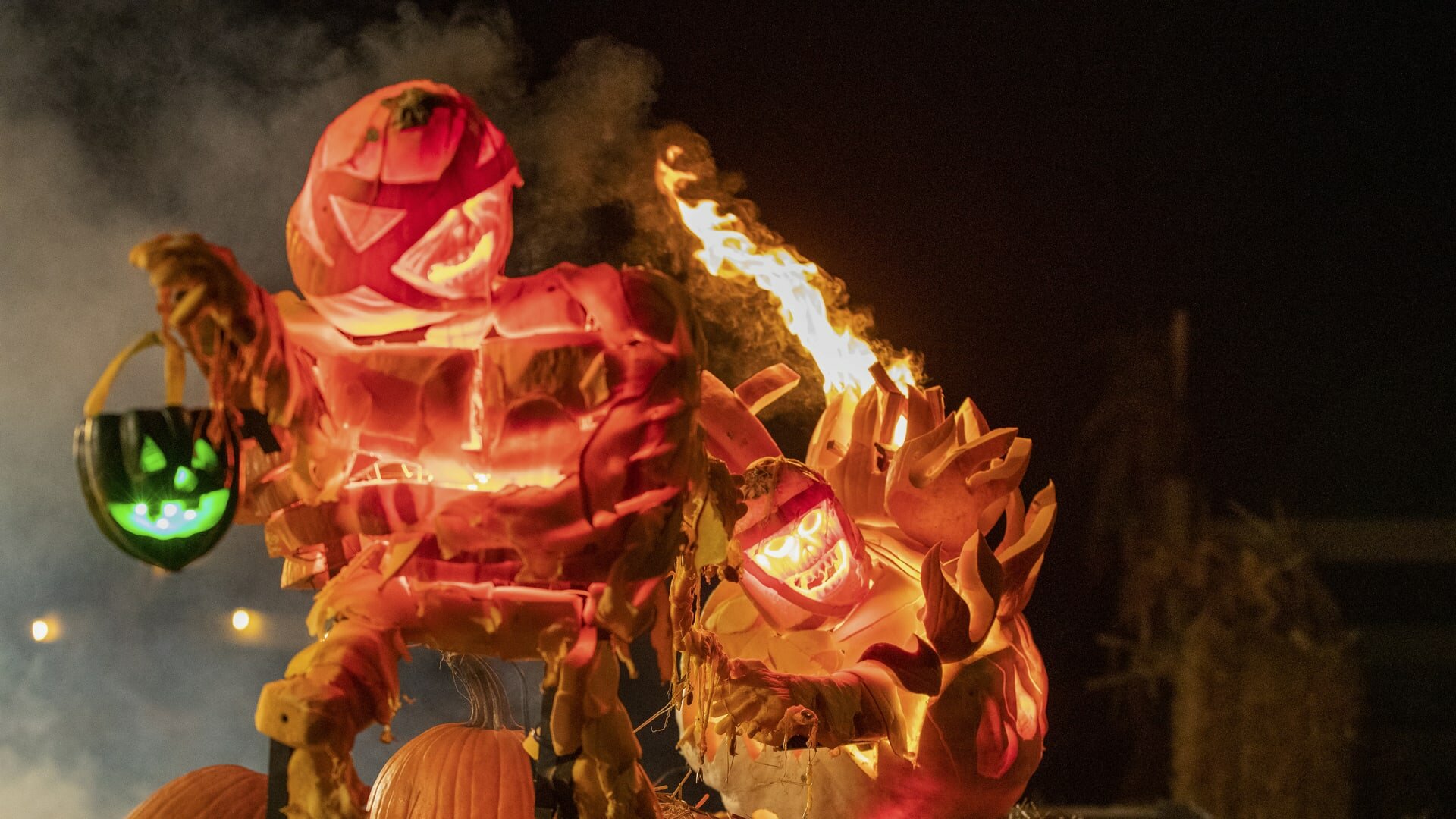 Outrageous Pumpkins - S5E5