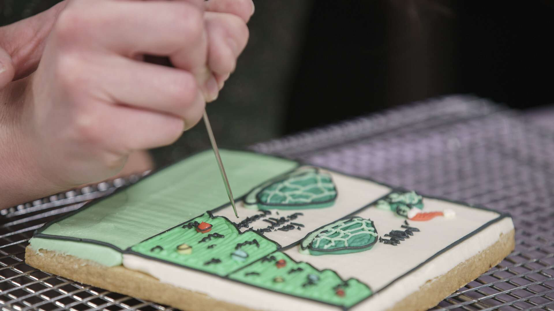 Christmas Cookie Challenge - S2024E8