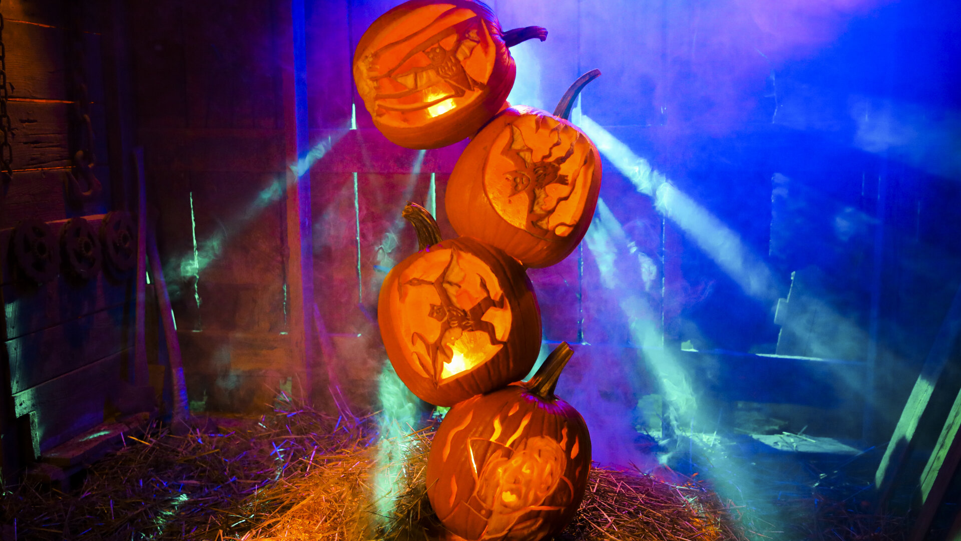 Outrageous Pumpkins - S5E5