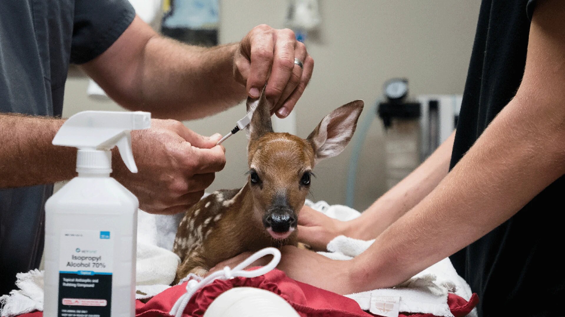 Heartland Docs, DVM - S5E12