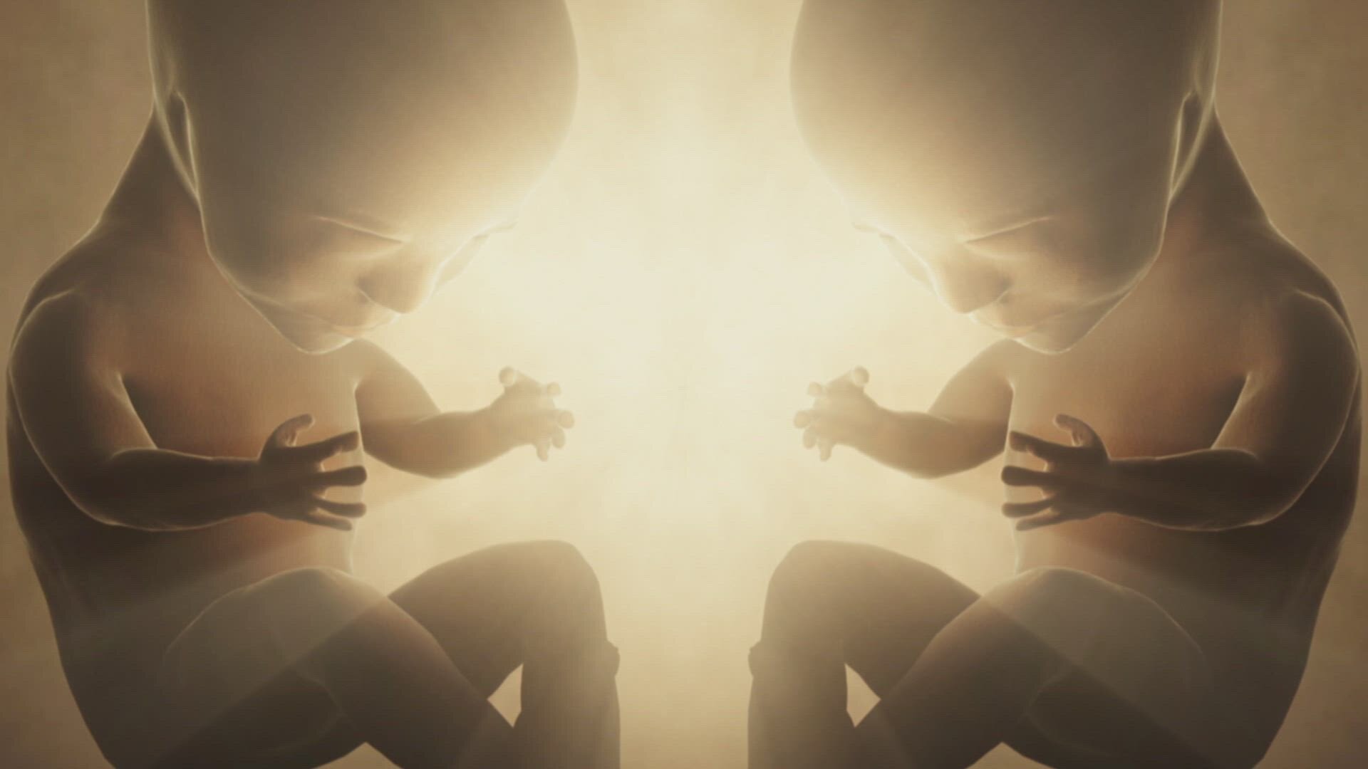 Ancient Aliens: Origins - S2E4