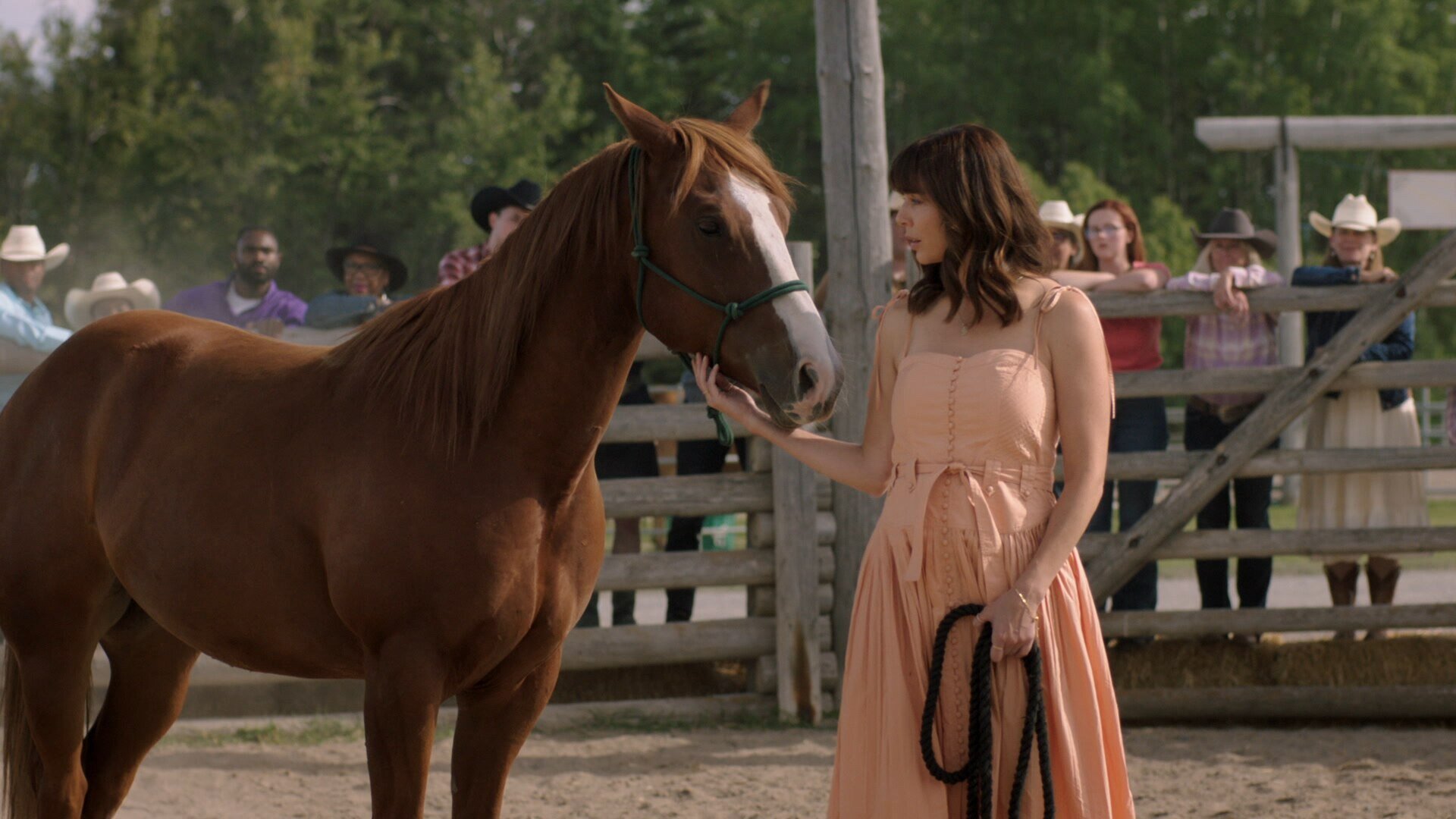 Heartland - S18E10