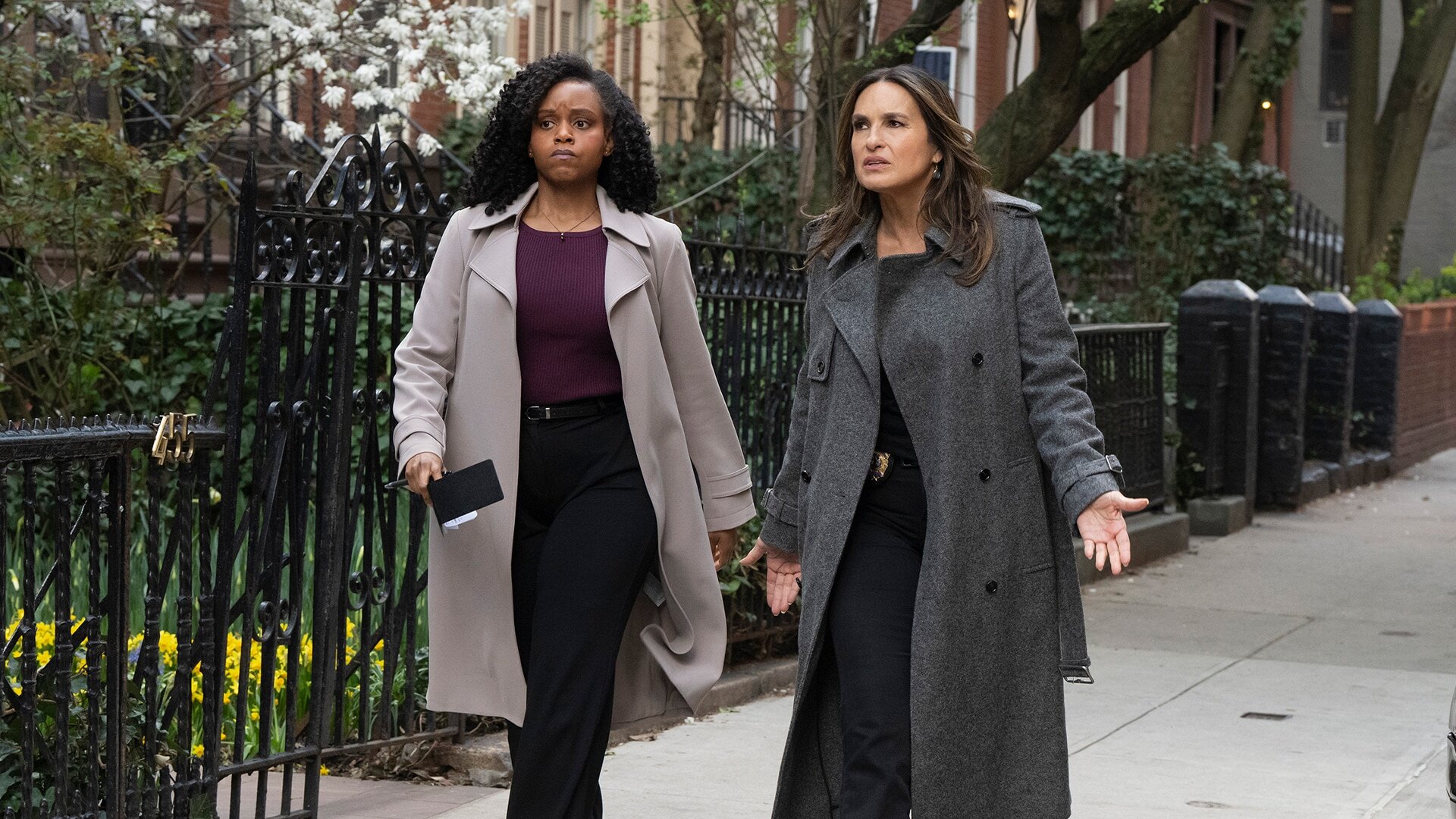 Law & Order: SVU - S26E22