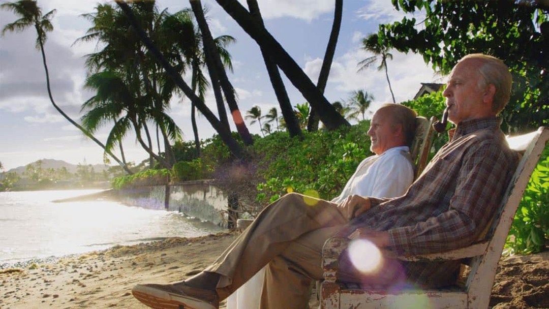 Hawaii Five-0 - S10E22