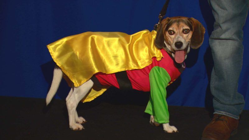 Comic Book Men - S7E13