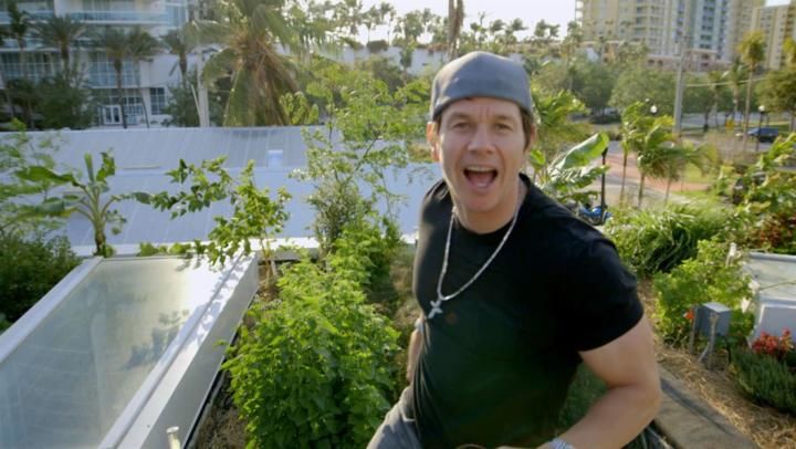 Wahlburgers - S10E11