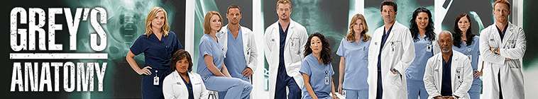 Greys Anatomy (source: TheTVDB.com)