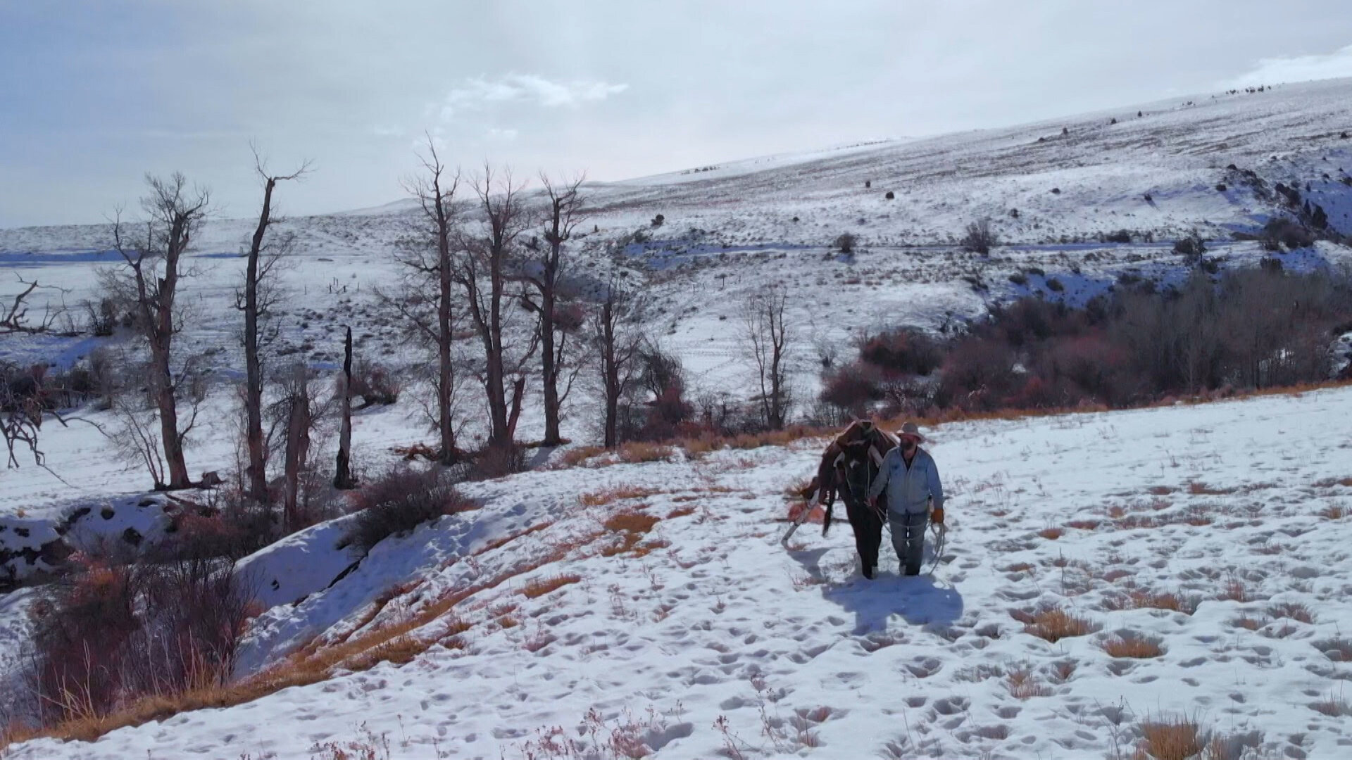 Mountain Men - S14E9