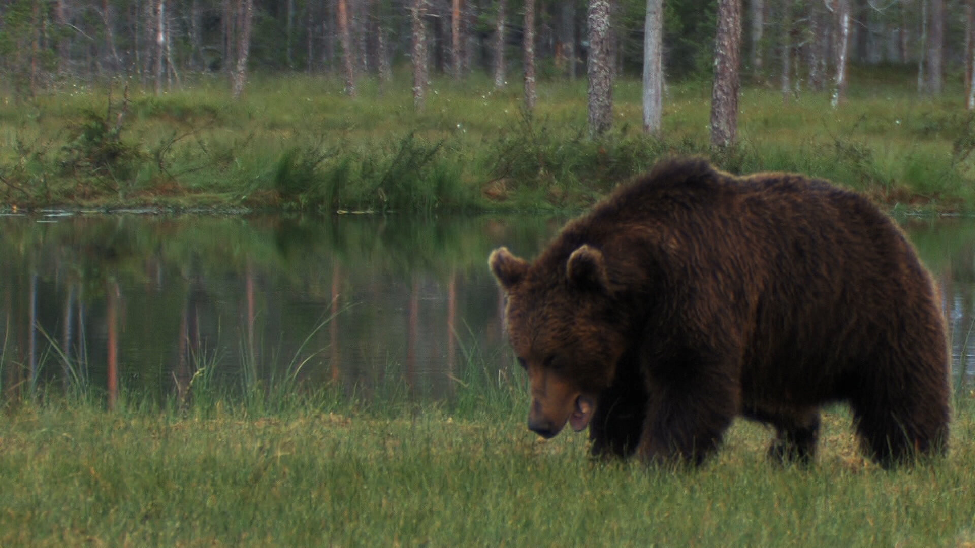 Mountain Men - S14E9