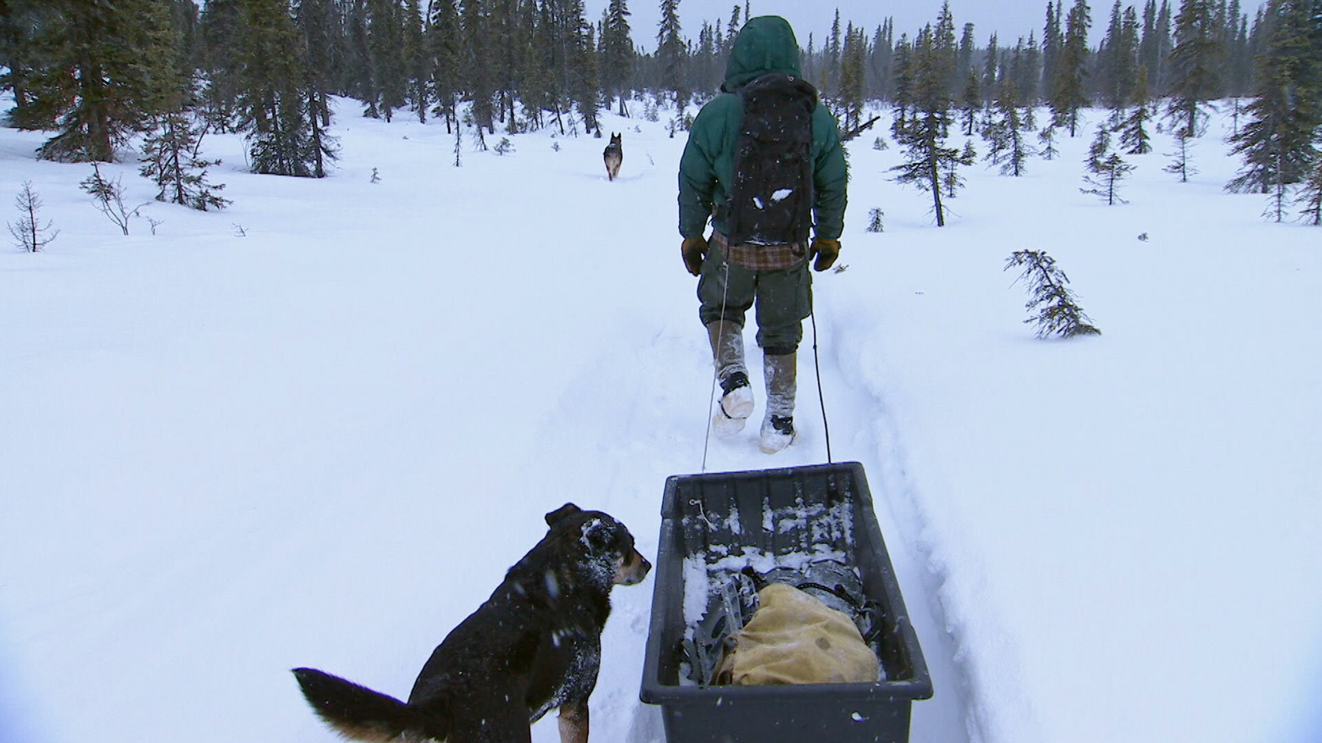 Mountain Men - S14E9